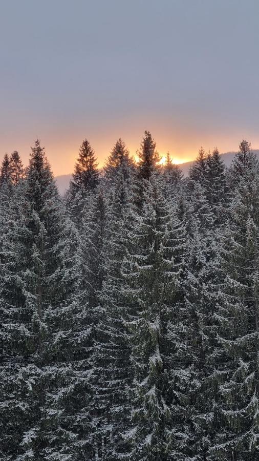 Charming Family Condo In Silver Mountain Poiana Brasov Buitenkant foto
